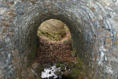 
Lasgarn Quarry Northern tunnel approach, March 2009